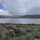 Review photo of Soda Lake WHMA by Greg L., June 25, 2021