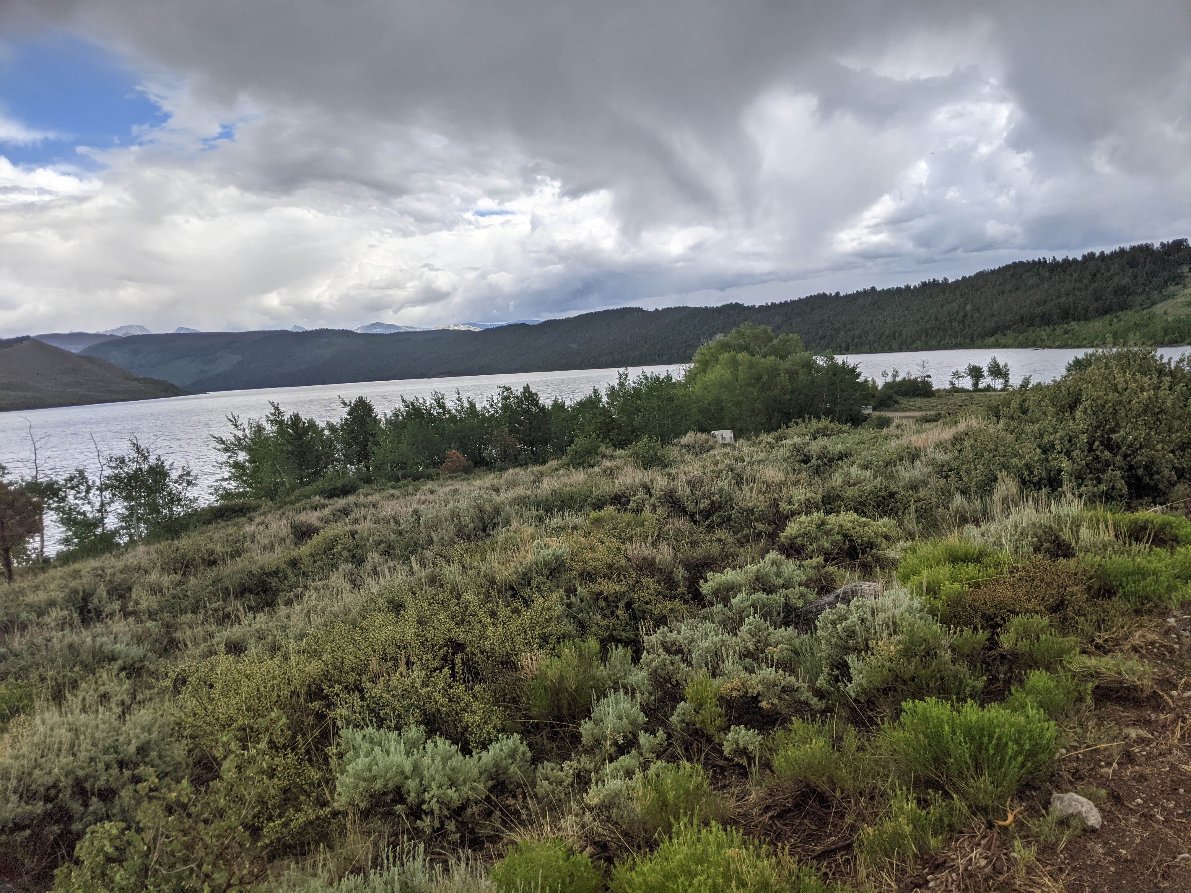 Greg L.'s photo of a dispersed camping area at Willow Lake near Cora, WY