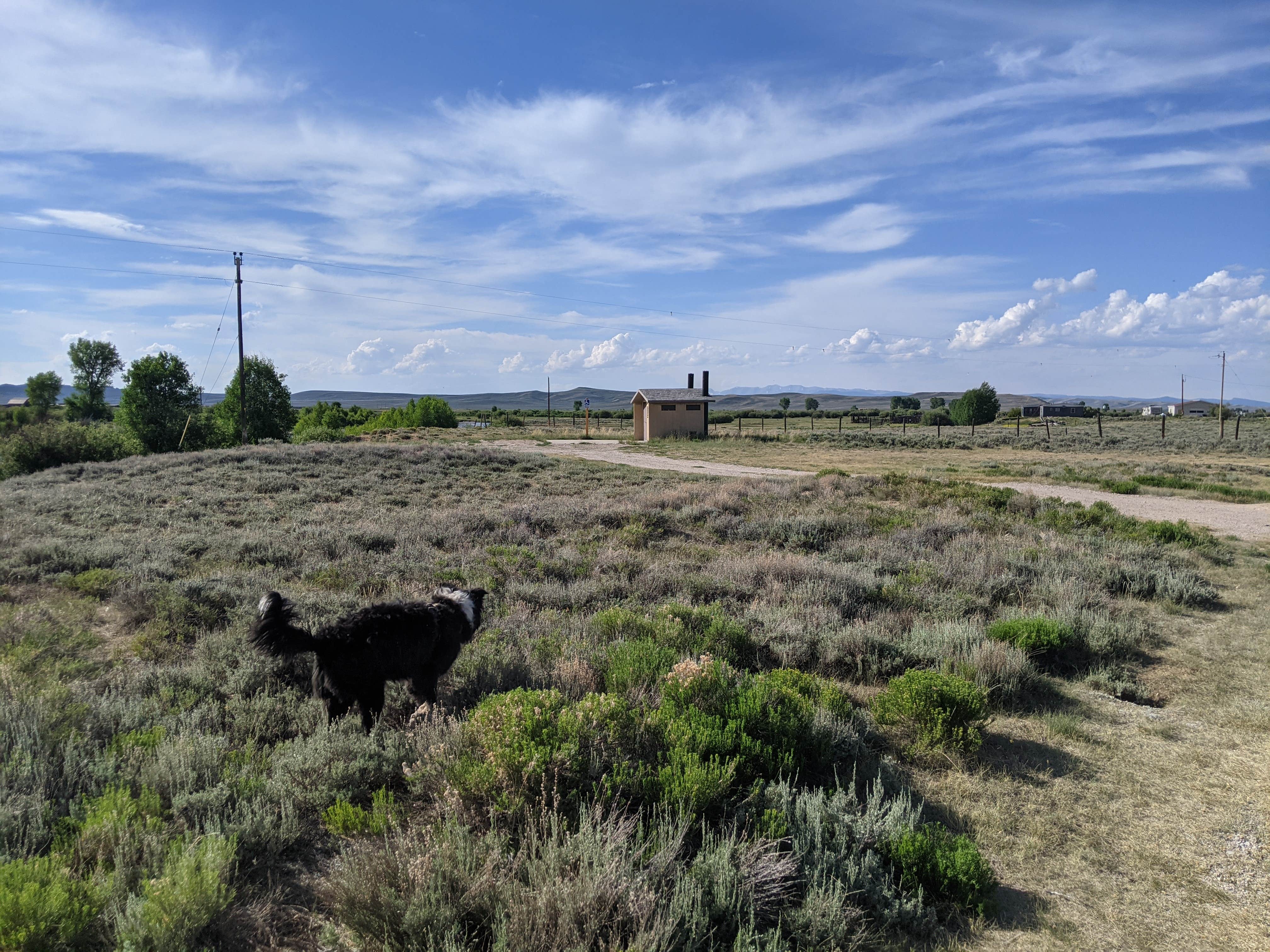 Camper submitted image from Green River-Daniel 40 Rod Camping Area - 3