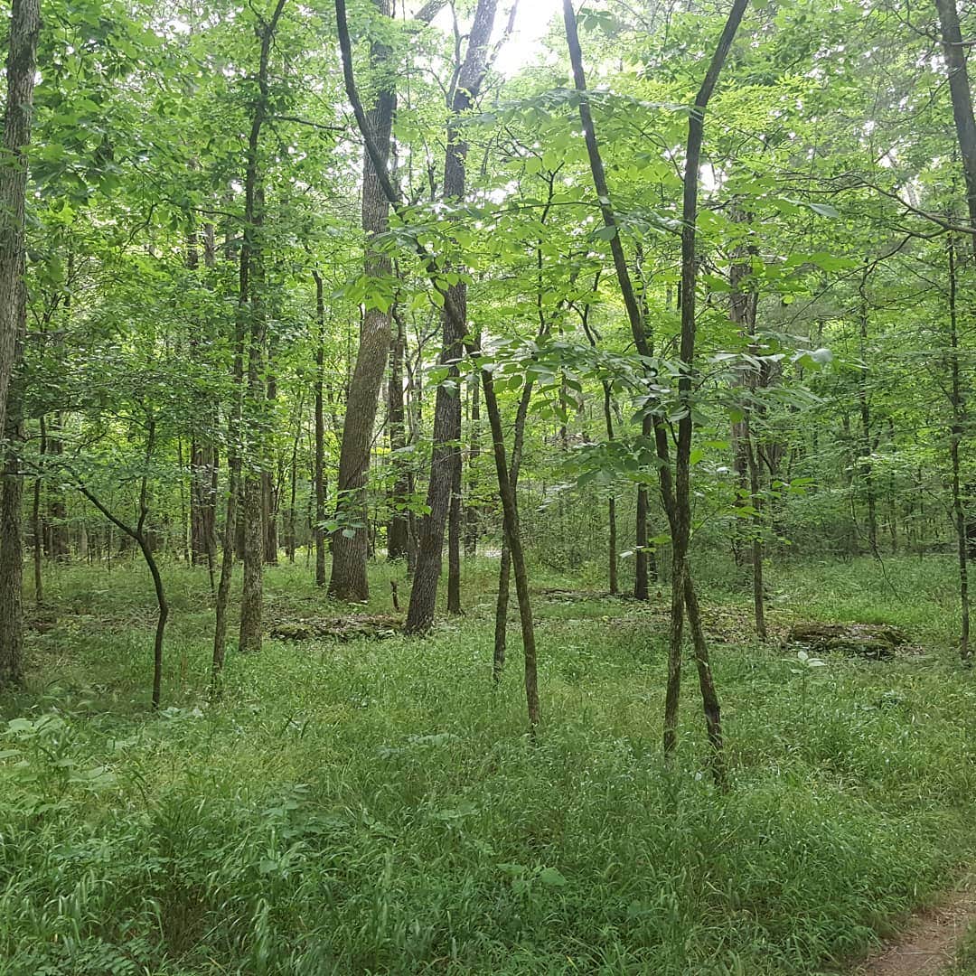 Camper-submitted photo at Henry Horton State Park Campground near Williamsport, TN