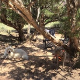 Review photo of Steamboat Rock Campground by Bryan P., June 25, 2021