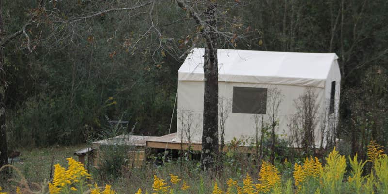 Camper submitted image from Epona Place Ranch