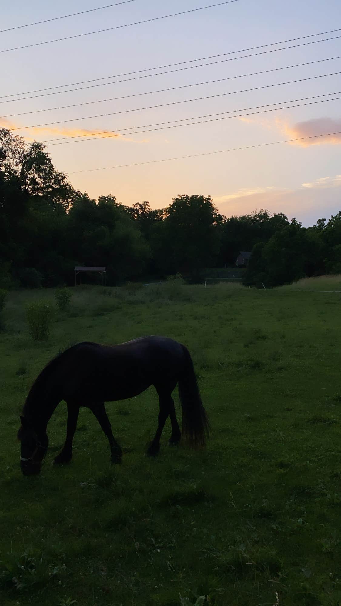 Camper-submitted photo at Pioneer Playhouse Campground near Bryantsville, KY