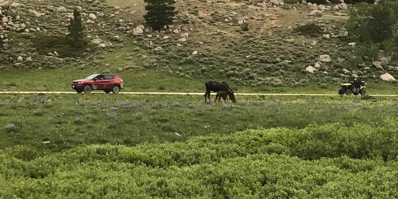 Camper submitted image from North Tongue