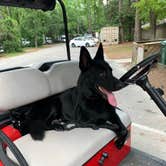 Review photo of Myrtle Beach State Park Campground by Jeffrey L., June 26, 2021