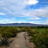 Review photo of Three Rivers Petroglyph Site by Meyka P., June 11, 2018