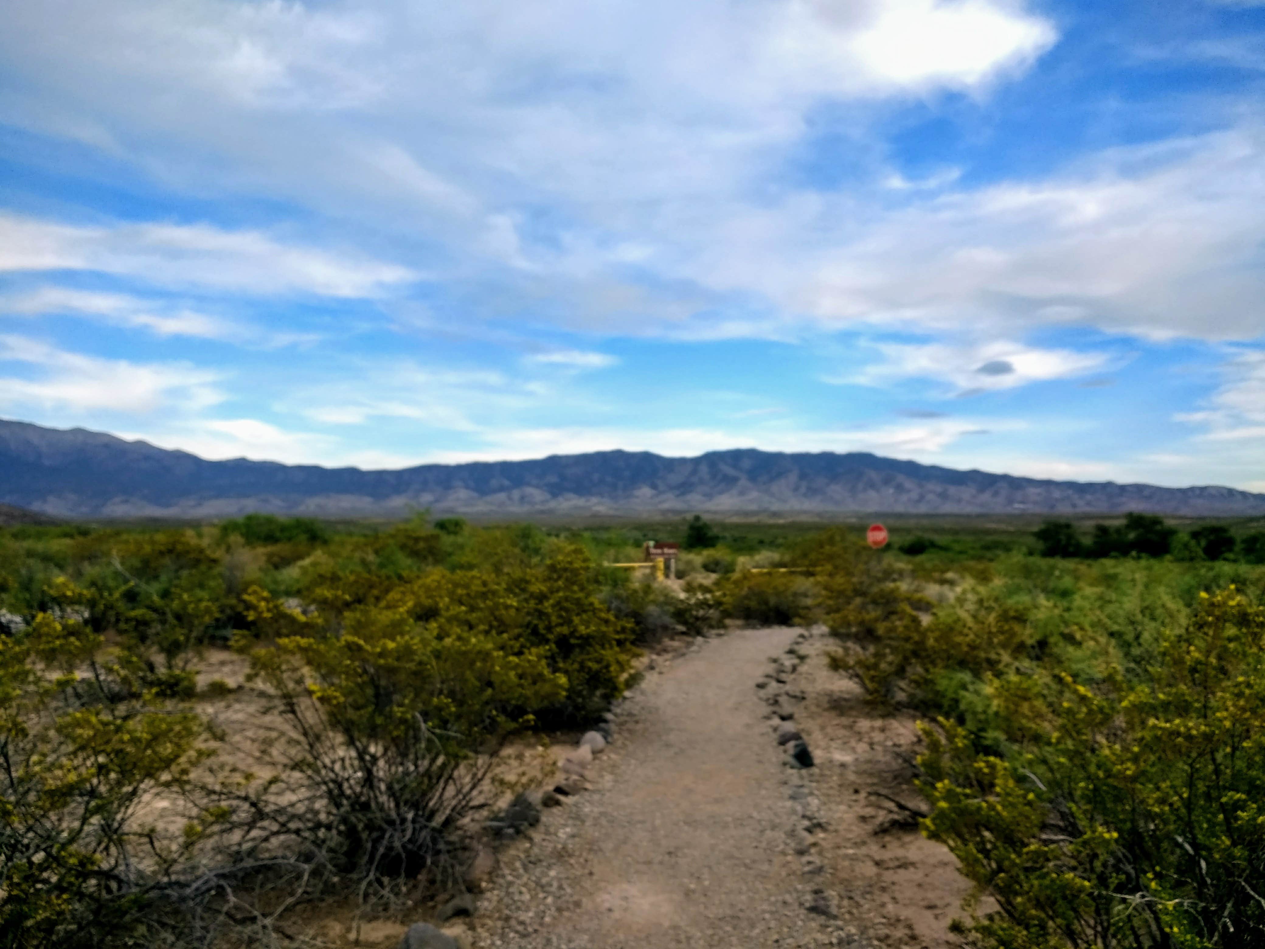 Camper submitted image from Three Rivers Petroglyph Site - 3