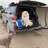 Review photo of Gates Of Lodore Campground — Dinosaur National Monument by Bryan P., June 26, 2021