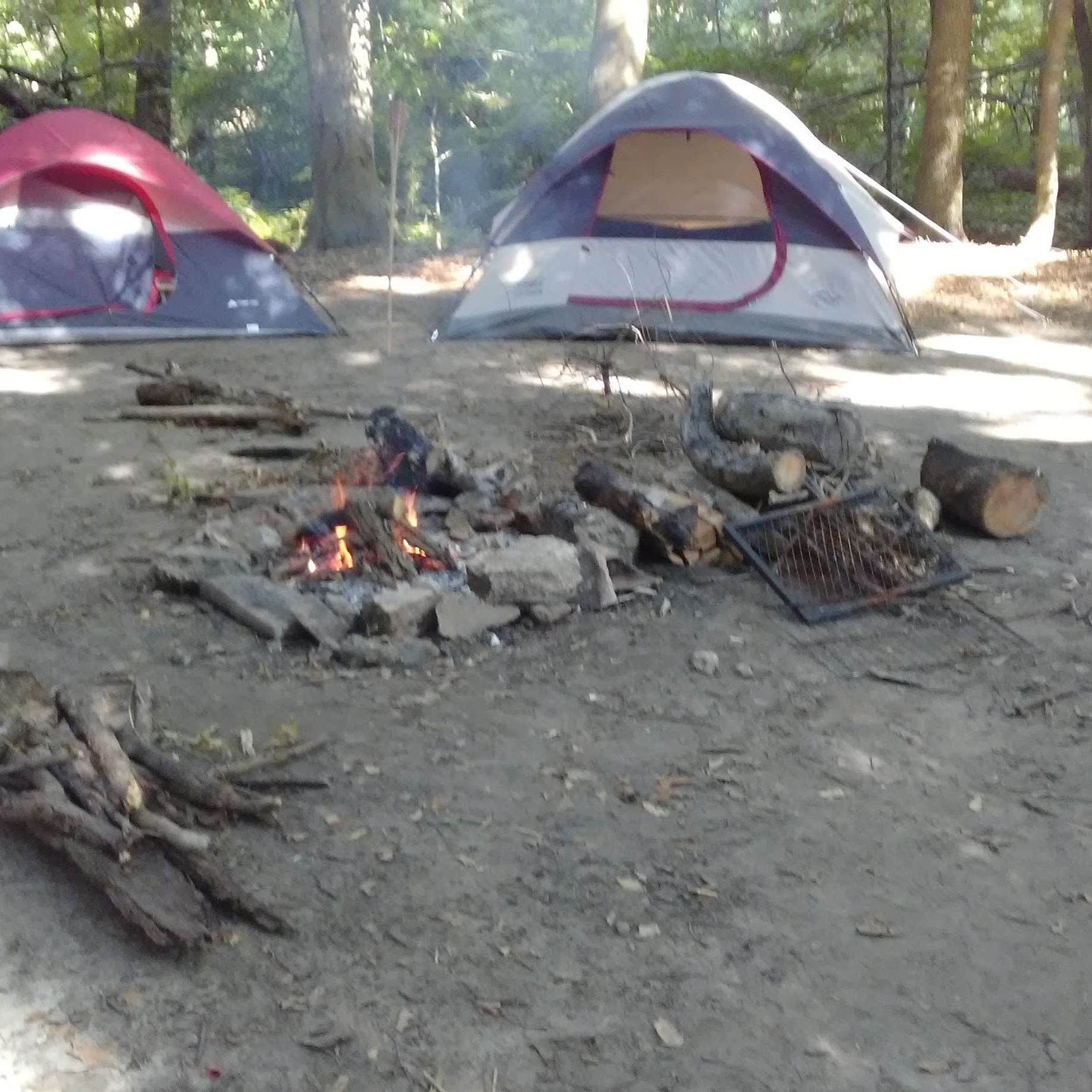 Melanie P.'s photo at Lansing Cottonwood Campground near Corunna, MI