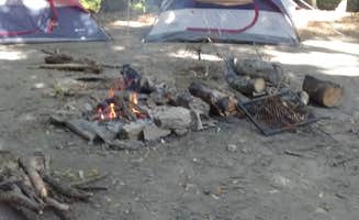Melanie P.'s photo at Lansing Cottonwood Campground near Pewamo, MI