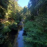 Review photo of Samuel P. Taylor State Park Campground by Christopher L., June 26, 2021