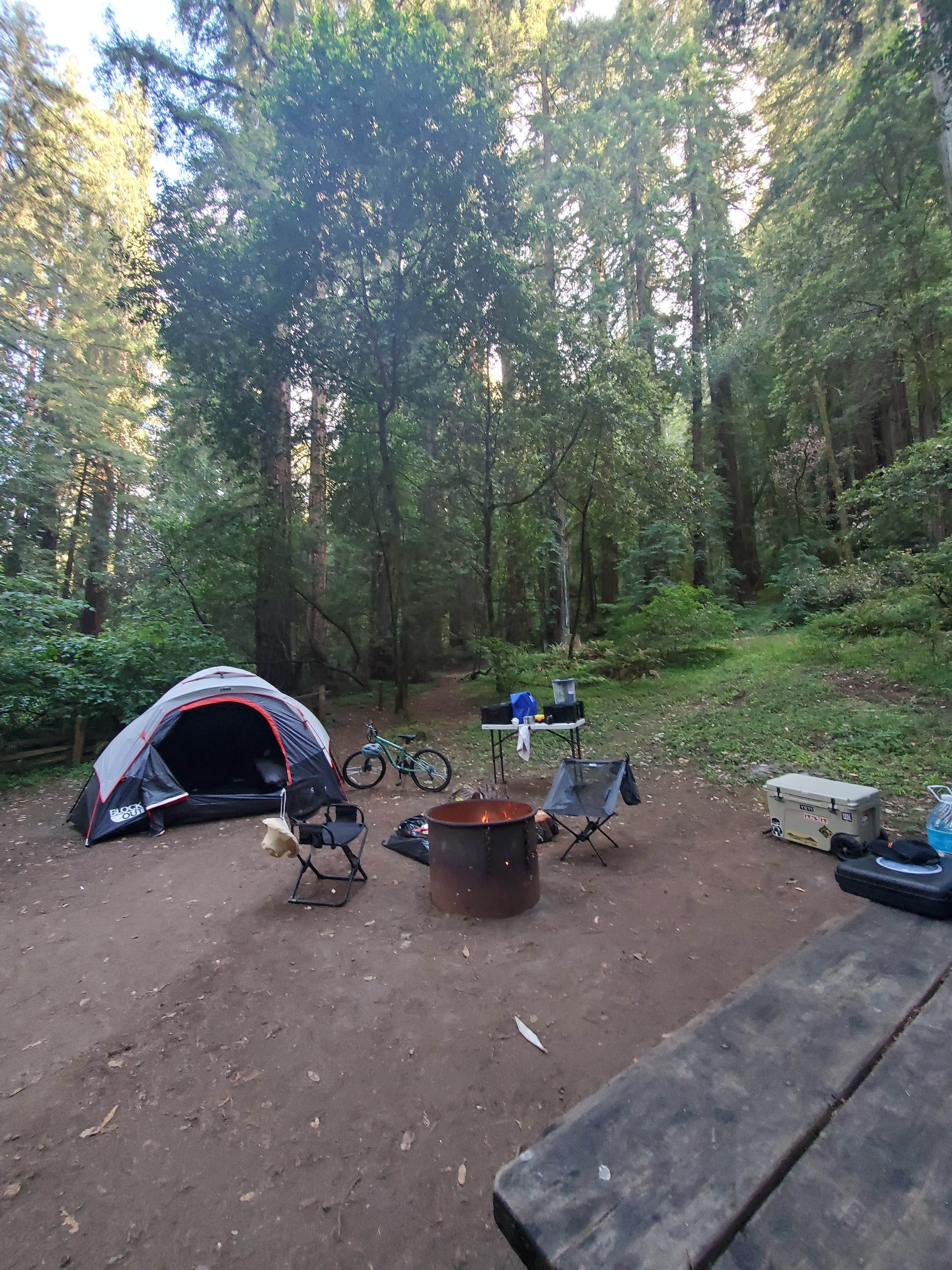 Christopher L.'s photo at Samuel P. Taylor State Park Campground near Marshall, CA