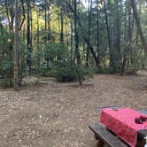Review photo of Hendy Woods State Park Campground by Todd B., June 26, 2021