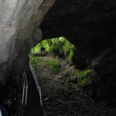 Review photo of Mammoth Cave Campground — Mammoth Cave National Park by Megan B., July 17, 2016
