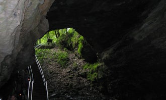 Mammoth Cave - Mammoth Cave National Park