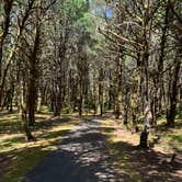 Review photo of Nehalem Bay State Park Campground by Carole M., June 26, 2021