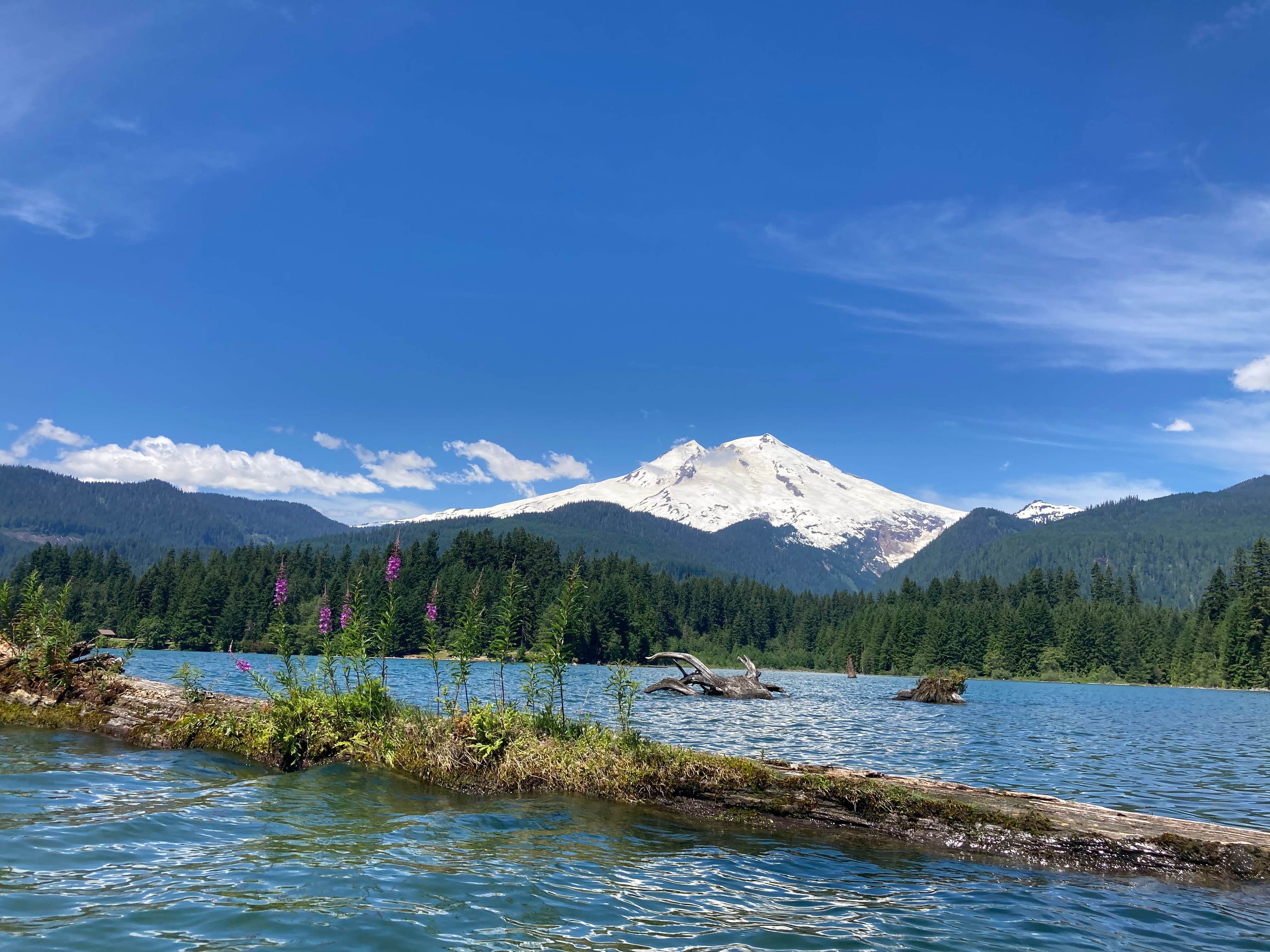 Swift Creek Campground | Concrete, WA