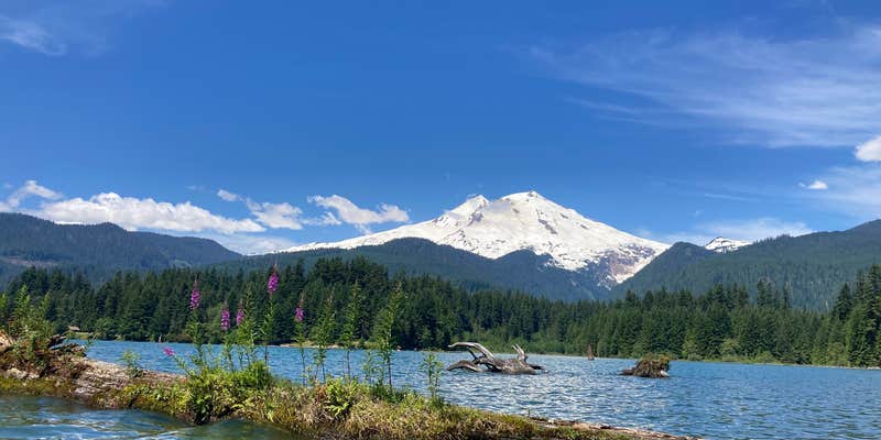 Camper submitted image from Swift Creek Campground