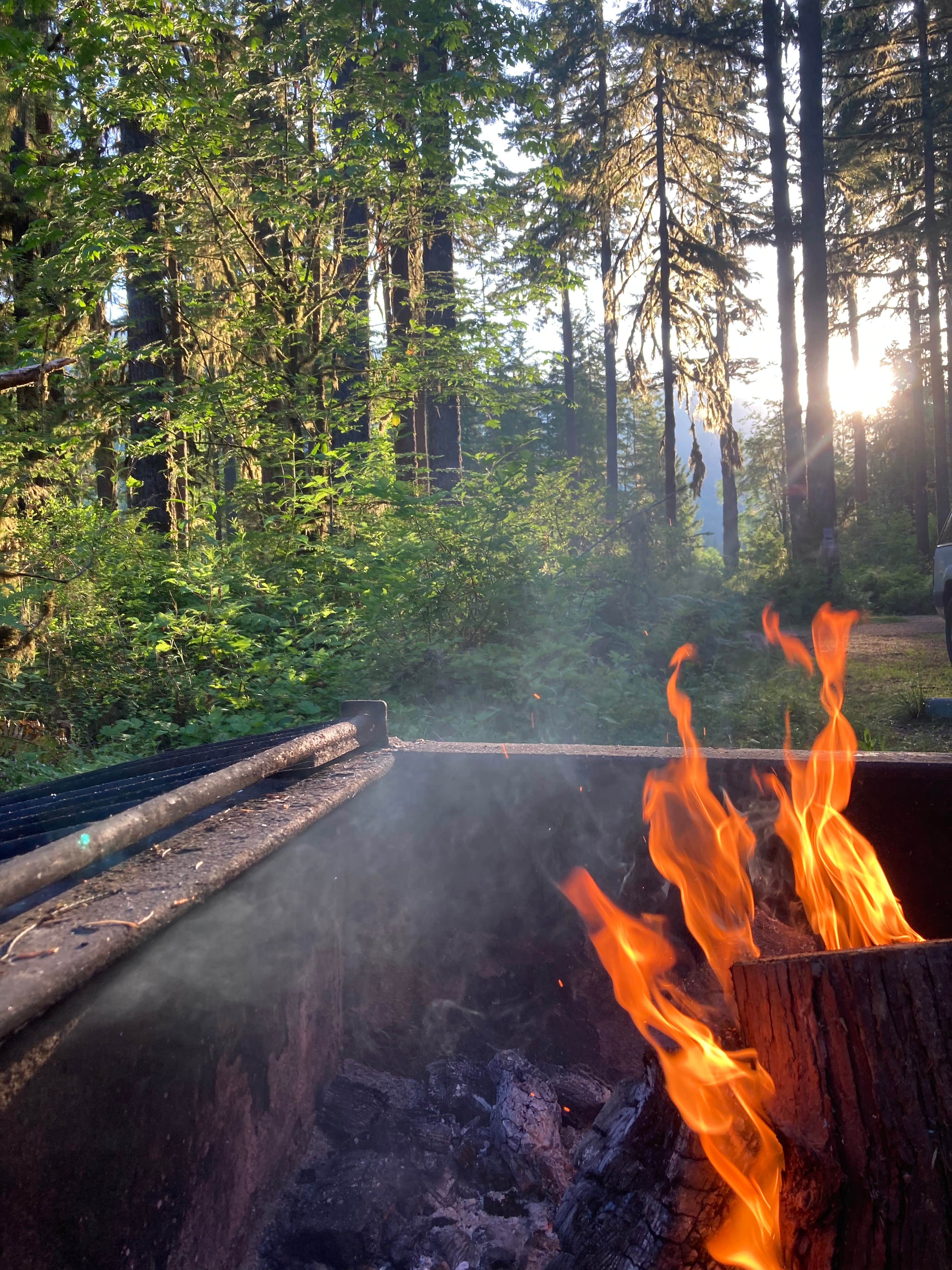 Camper-submitted photo at Swift Creek Campground near Marblemount, WA