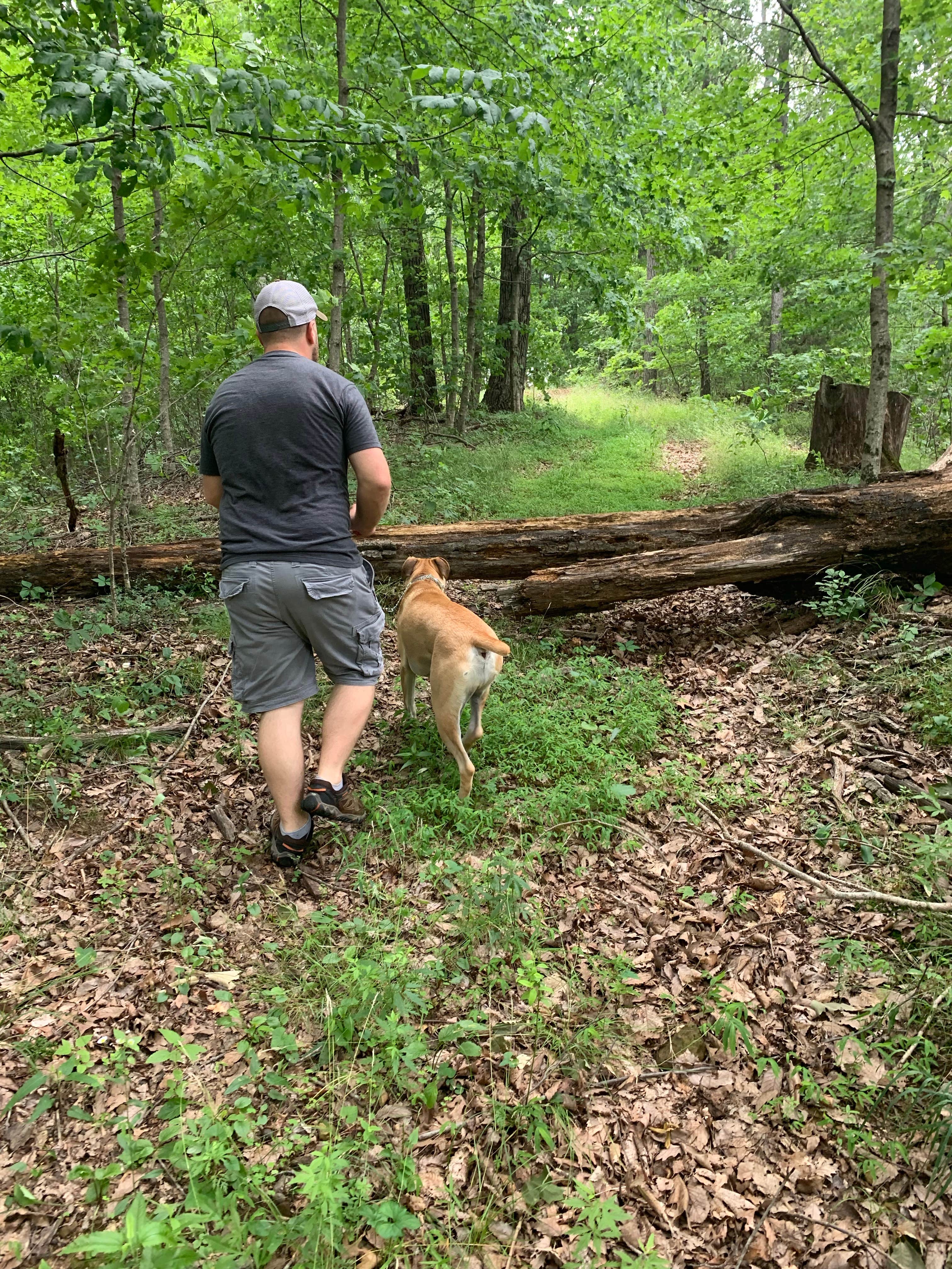 Kelsie E.'s photo of camping with pets at Delaney Creek Park near New Pekin, IN