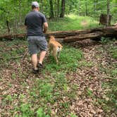 Review photo of Delaney Creek Park by Kelsie E., June 26, 2021