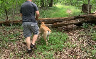 Kelsie E.'s photo of camping with pets at Delaney Creek Park near Seymour, IN