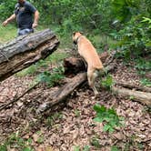 Review photo of Delaney Creek Park by Kelsie E., June 26, 2021