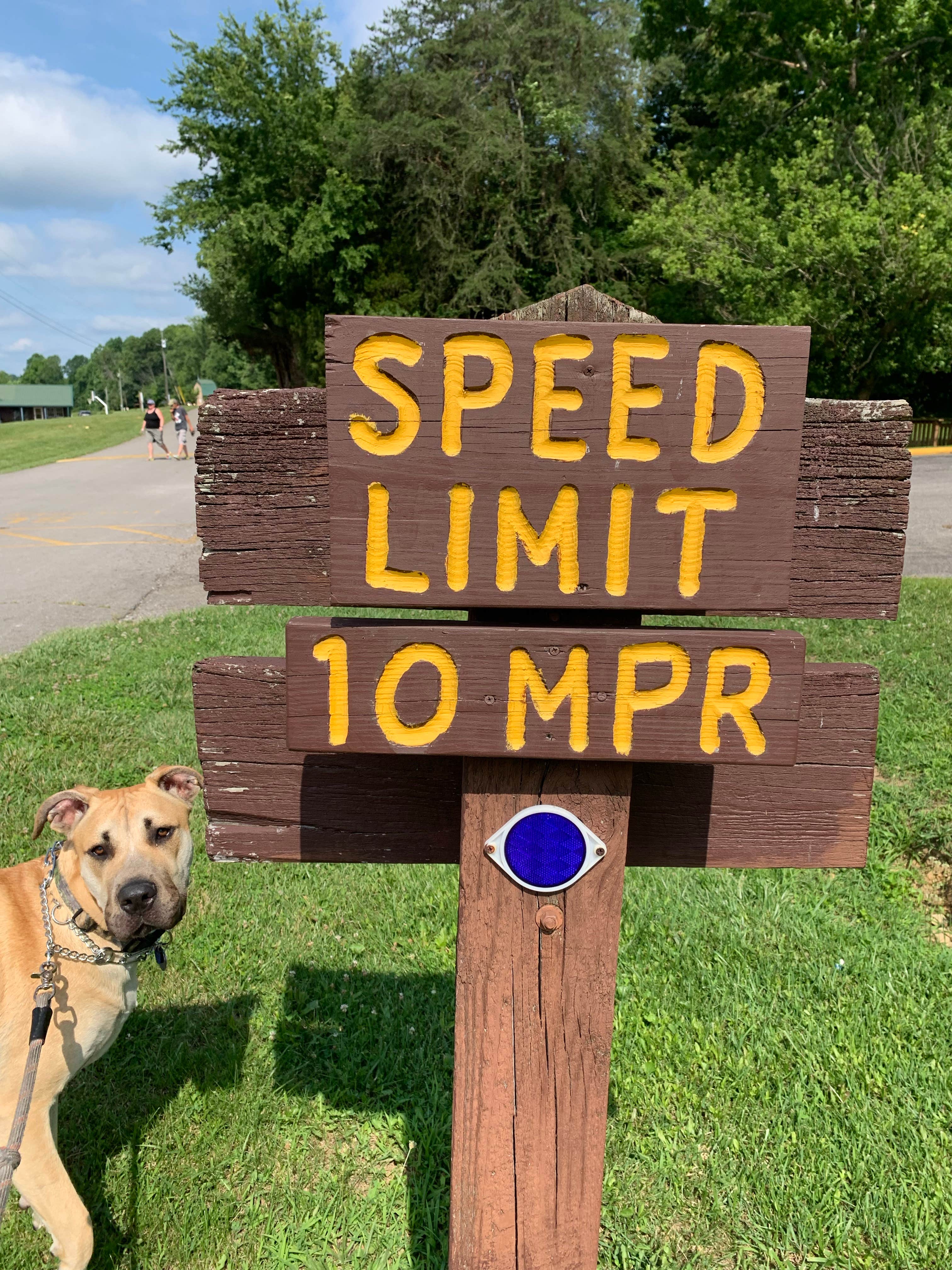 Kelsie E.'s photo of camping with pets at Delaney Creek Park near Jeffersonville, IN