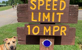 Kelsie E.'s photo of camping with pets at Delaney Creek Park near Hoosier National Forest
