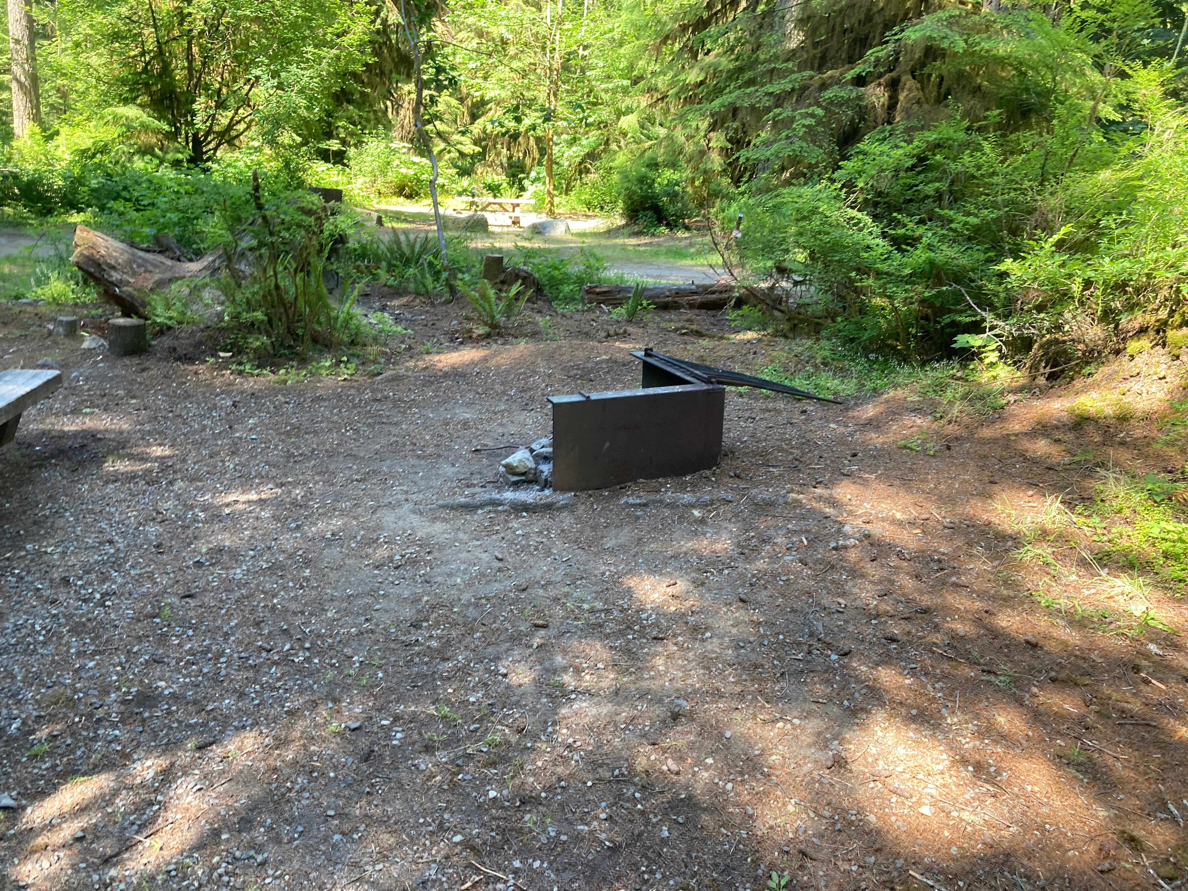 Camper submitted image from Swift Creek Campground - 5