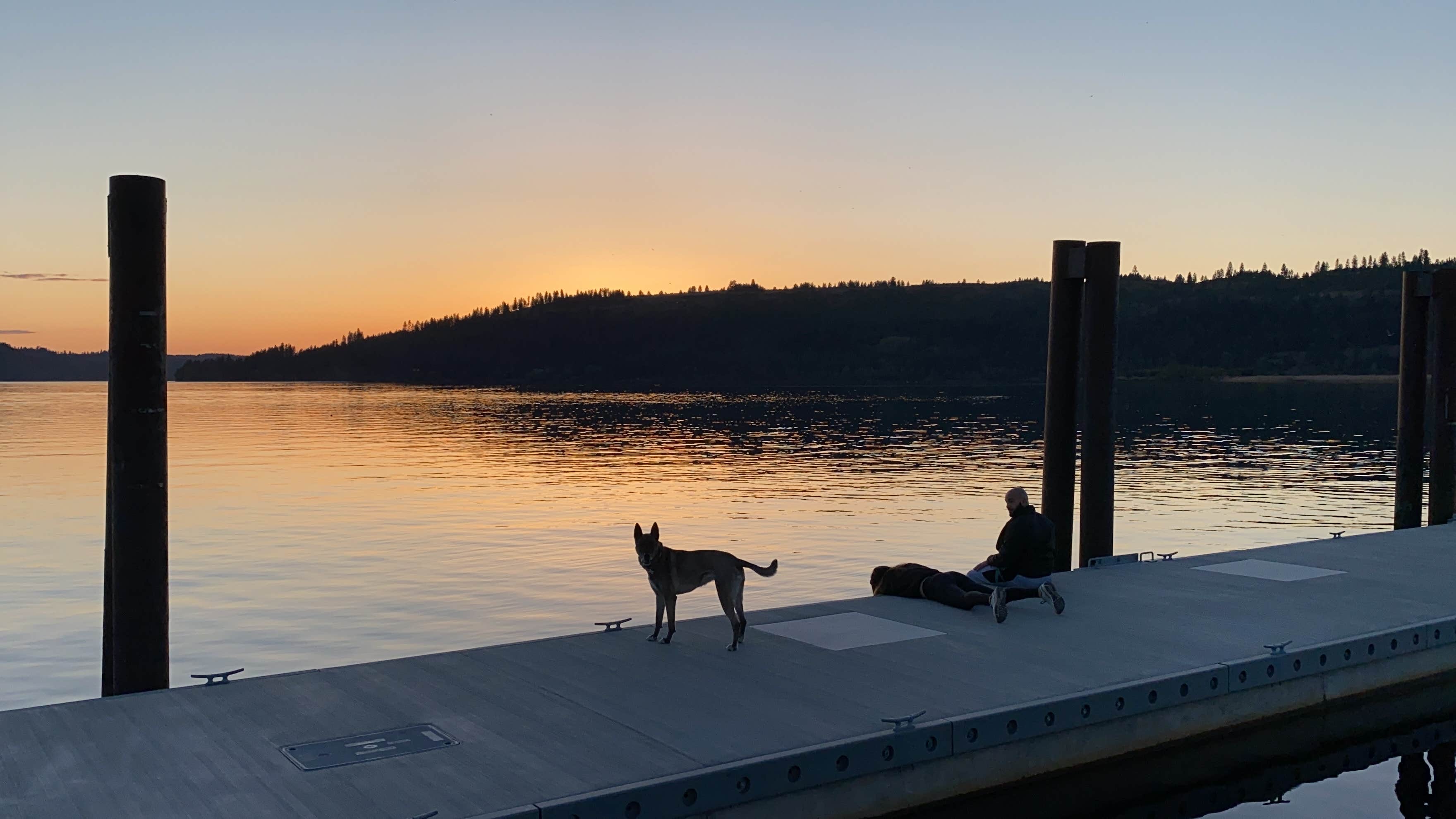 Hernan V.'s photo of camping with pets at City of Harrison RV Park & Campground near Coeur d'Alene, ID
