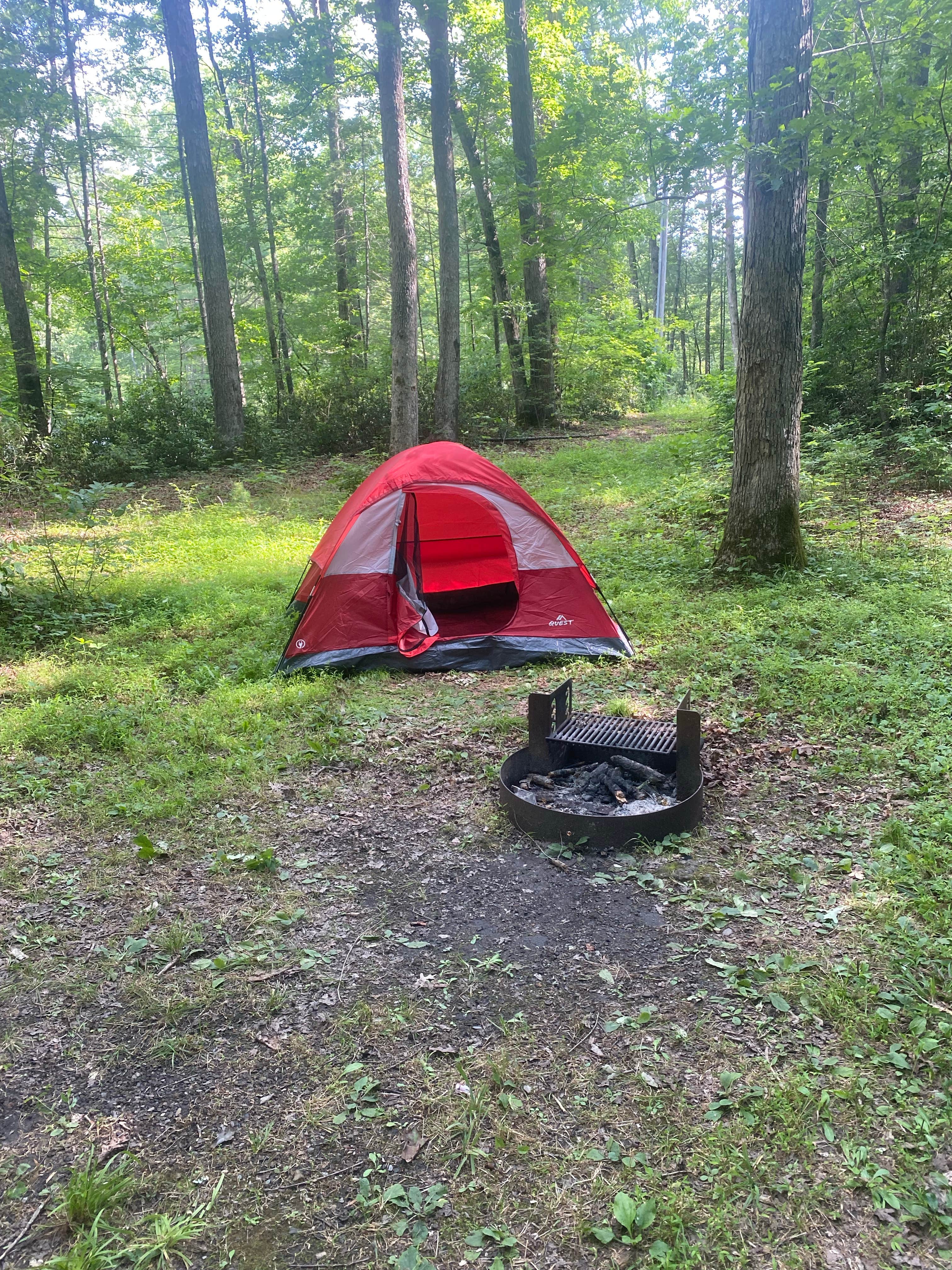 nicole D.'s photo at Otter Creek Campground — Blue Ridge Parkway near Natural Bridge, VA