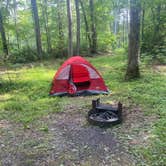 Review photo of Otter Creek Campground — Blue Ridge Parkway by nicole D., June 26, 2021