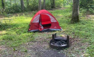 nicole D.'s photo at Otter Creek Campground — Blue Ridge Parkway near Huddleston, VA