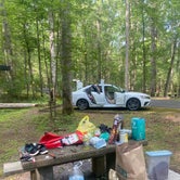 Review photo of Otter Creek Campground — Blue Ridge Parkway by nicole D., June 26, 2021