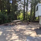 Review photo of Harris Beach State Park Campground by Laura M., June 26, 2021