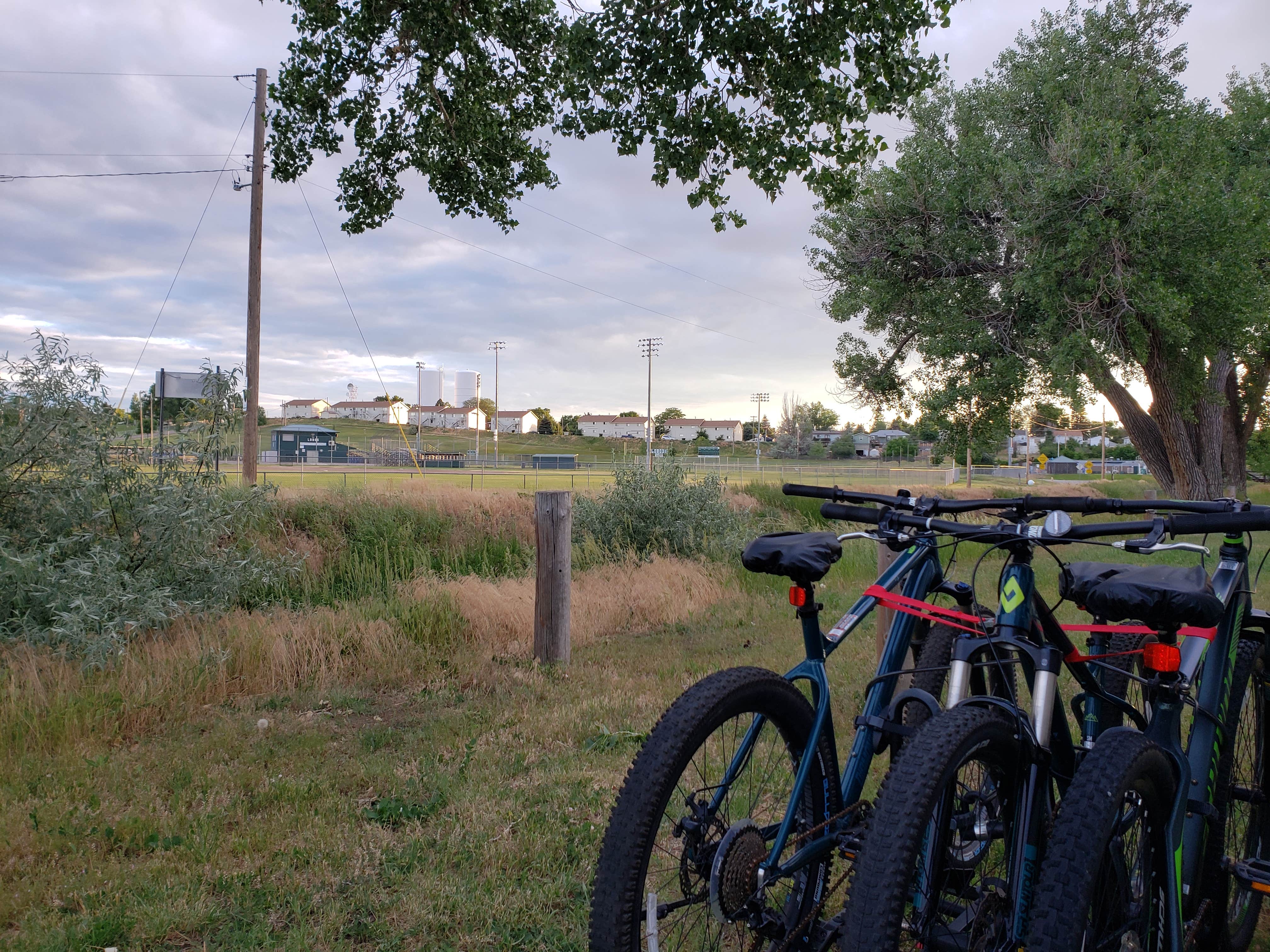 Camper submitted image from Lewis Park - 5