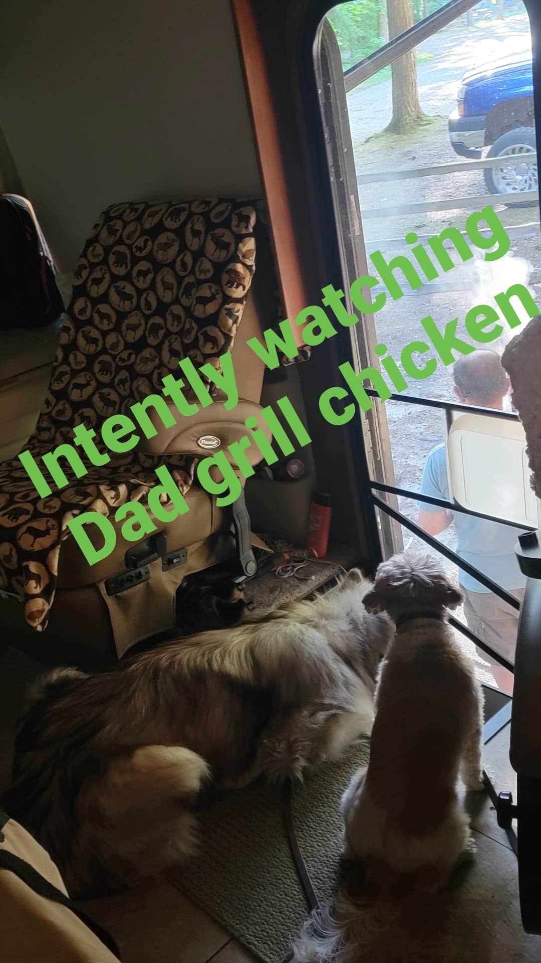 Jennifer M.'s photo of camping with pets at Lakeport State Park Campground near Sandusky, MI