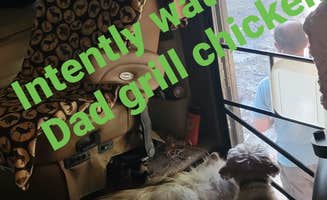 Jennifer M.'s photo of camping with pets at Lakeport State Park Campground in Michigan