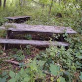 Review photo of Kilen Woods State Park Campground by Lord J., June 26, 2021