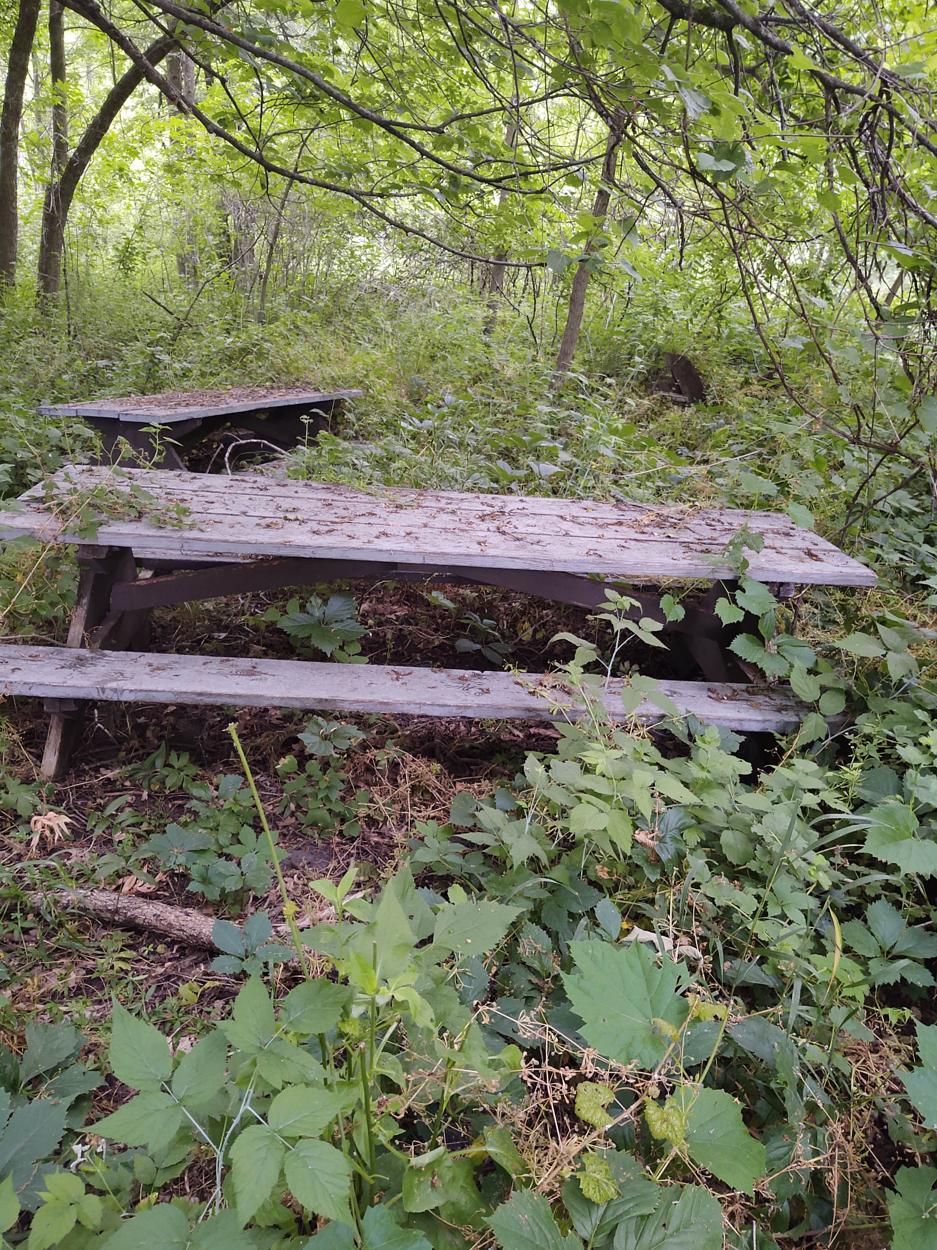 Camper submitted image from Kilen Woods State Park Campground - 4