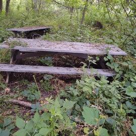 Haunted Picnic Tables 🦇