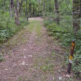 Review photo of Kilen Woods State Park Campground by Lord J., June 26, 2021