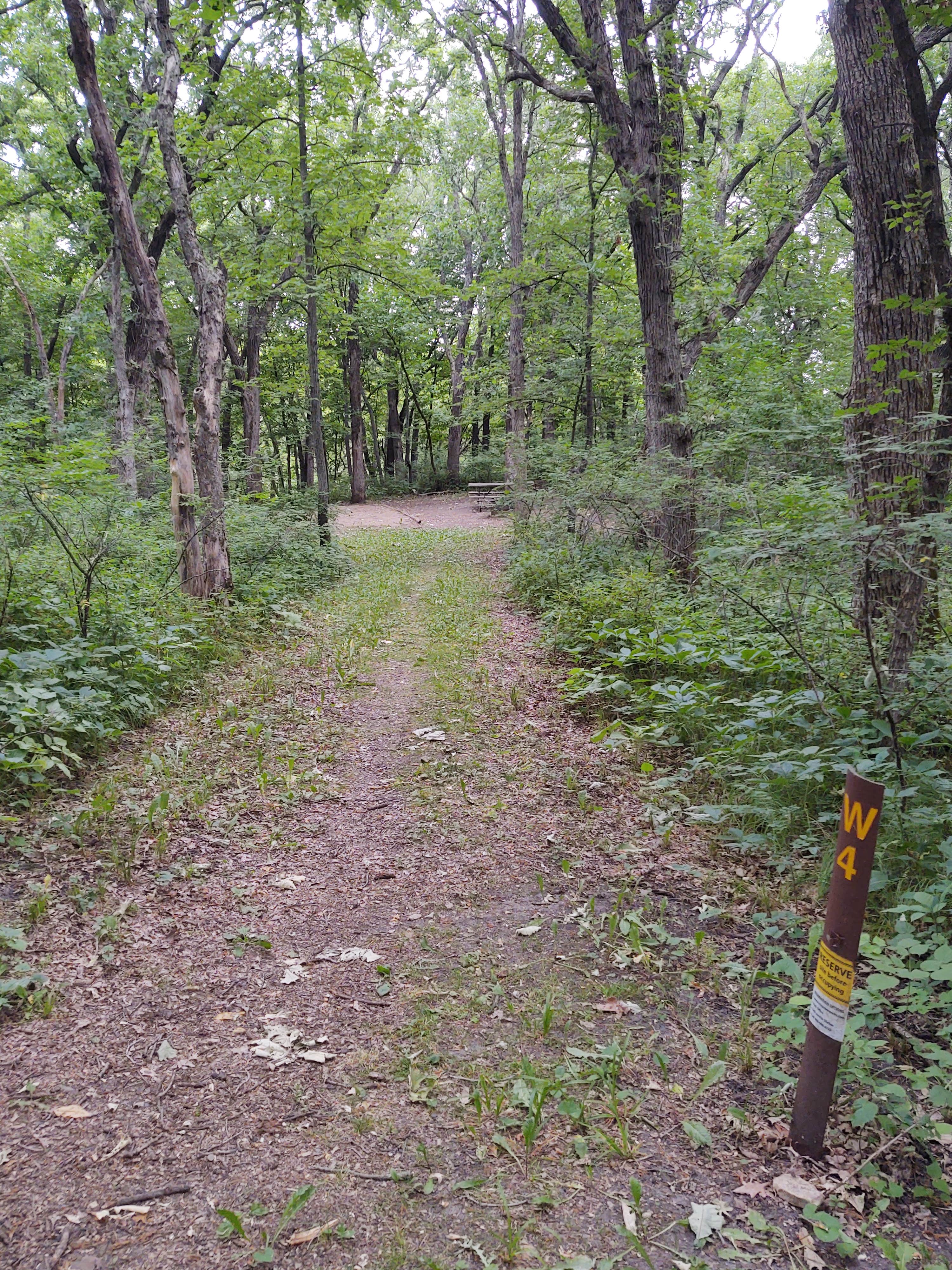 Camper submitted image from Kilen Woods State Park Campground - 4