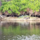 Review photo of Dunn Point Campground — Lily Bay State Park by Joe R., June 26, 2021