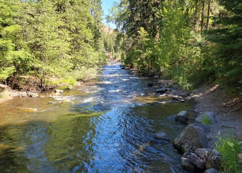 Tucannon Campground Camping The Dyrt