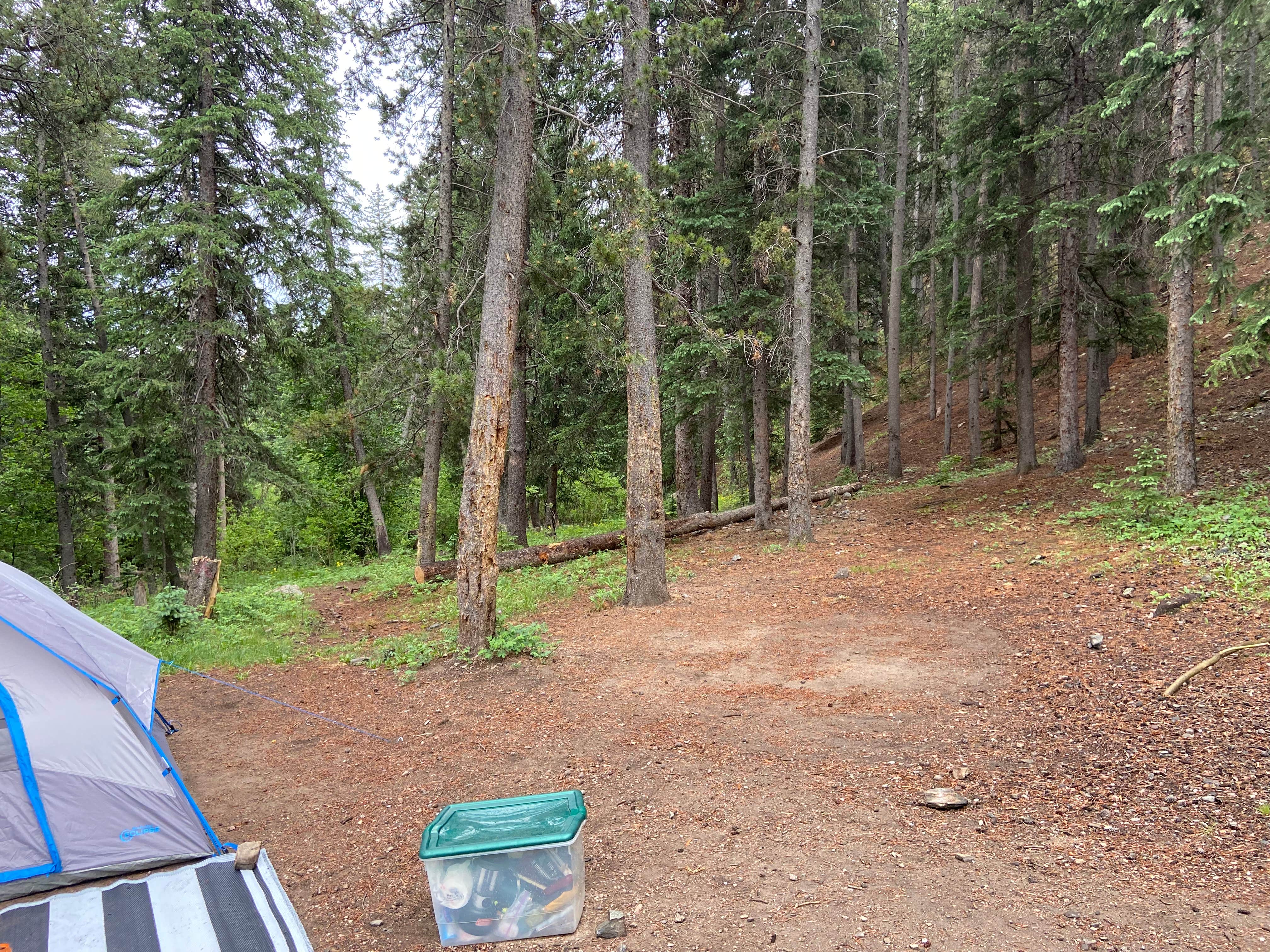 claire's photo at Deer Creek near Evergreen, CO