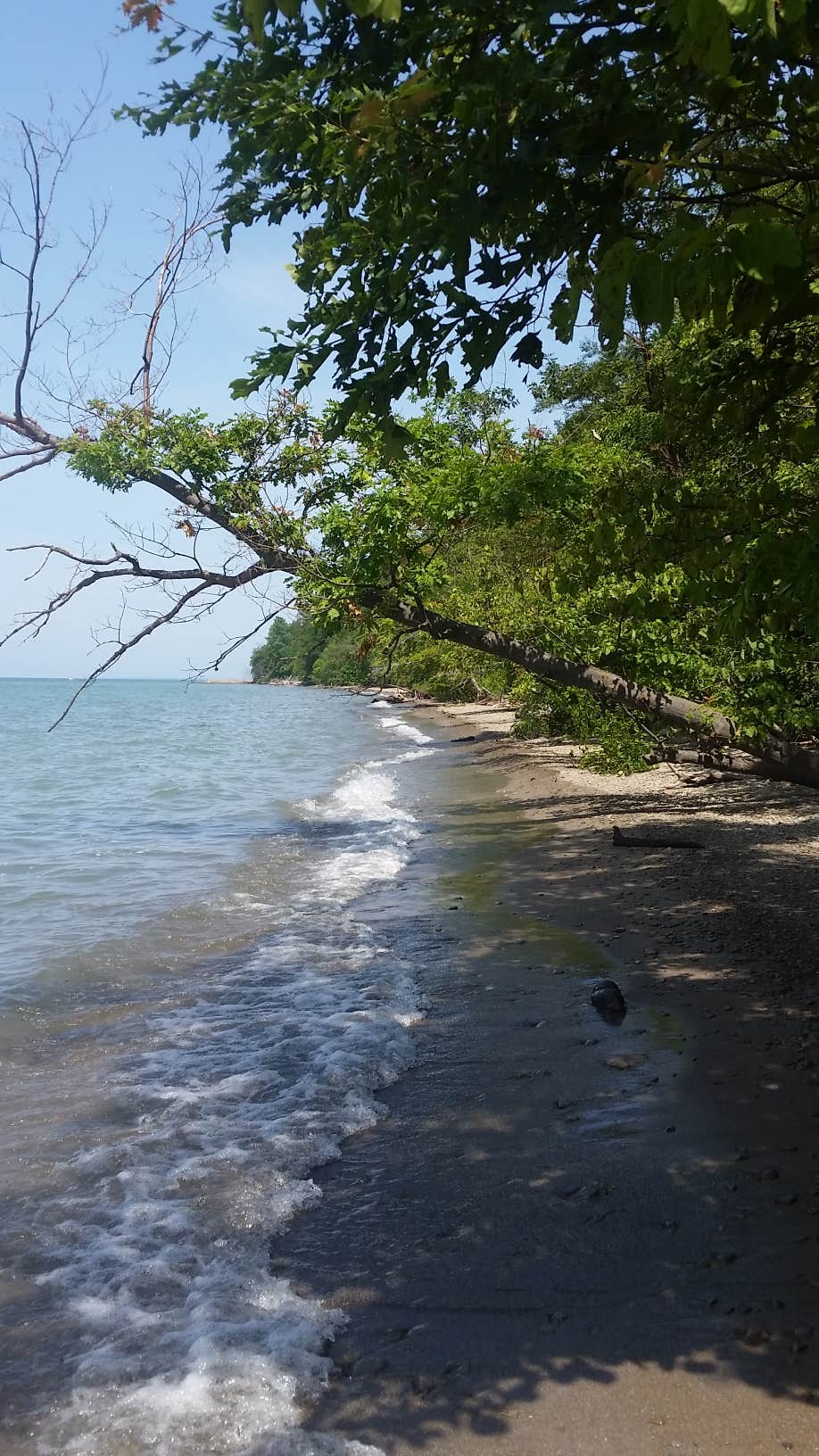 Camper-submitted photo at Eriez near Conneaut, OH