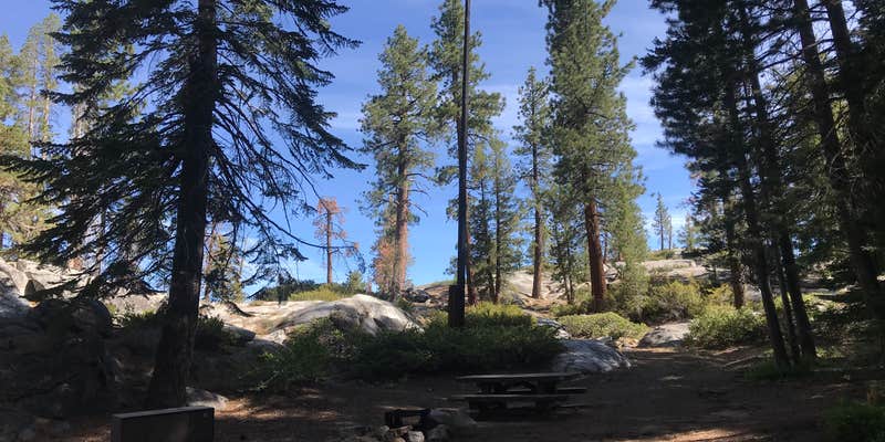 Camper submitted image from Ward Lake Campground