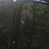 Review photo of Kanawha State Forest by Andrea R., June 13, 2021